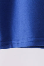 Blue 250 Years flag family top